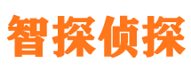 平原市婚外情取证